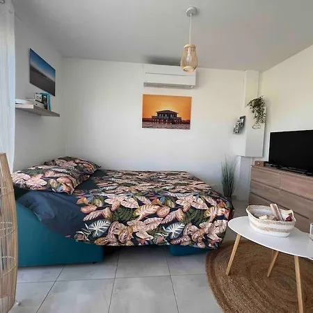 Studio Tout Confort + Terrasse Gujan-Mestras Exterior photo